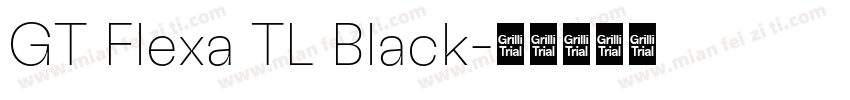 GT Flexa TL Black字体转换